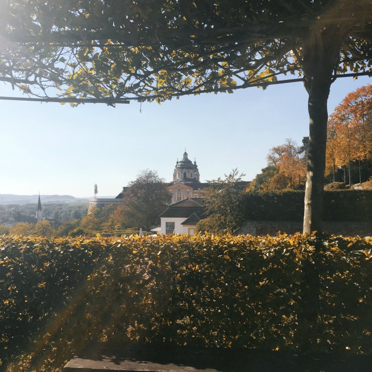 melk abby cosmos tour