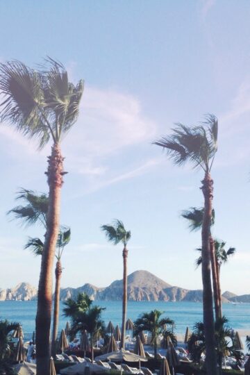 los cabos view
