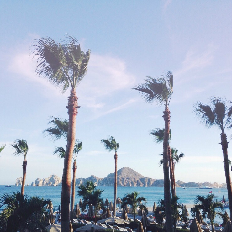 los cabos view