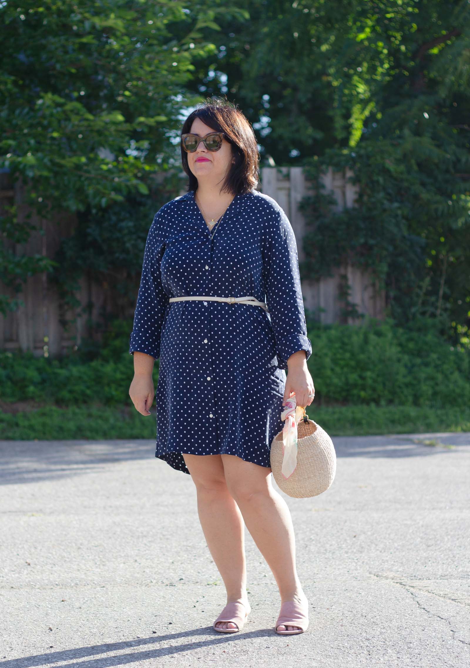 everlane polka dot shirt dress review