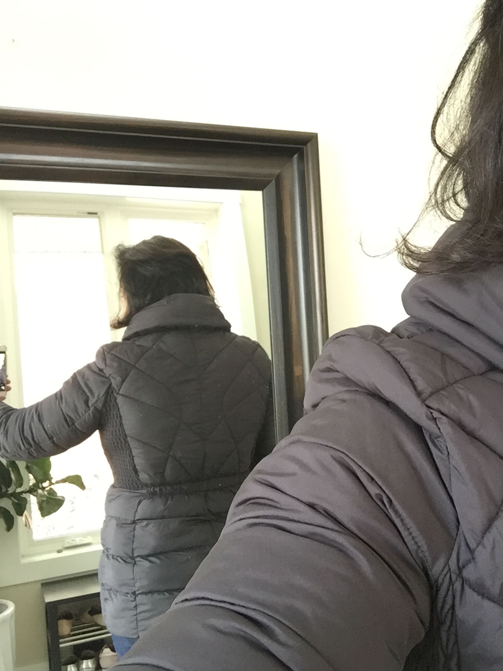 nordstrom anniversary sale, bernardo jacket