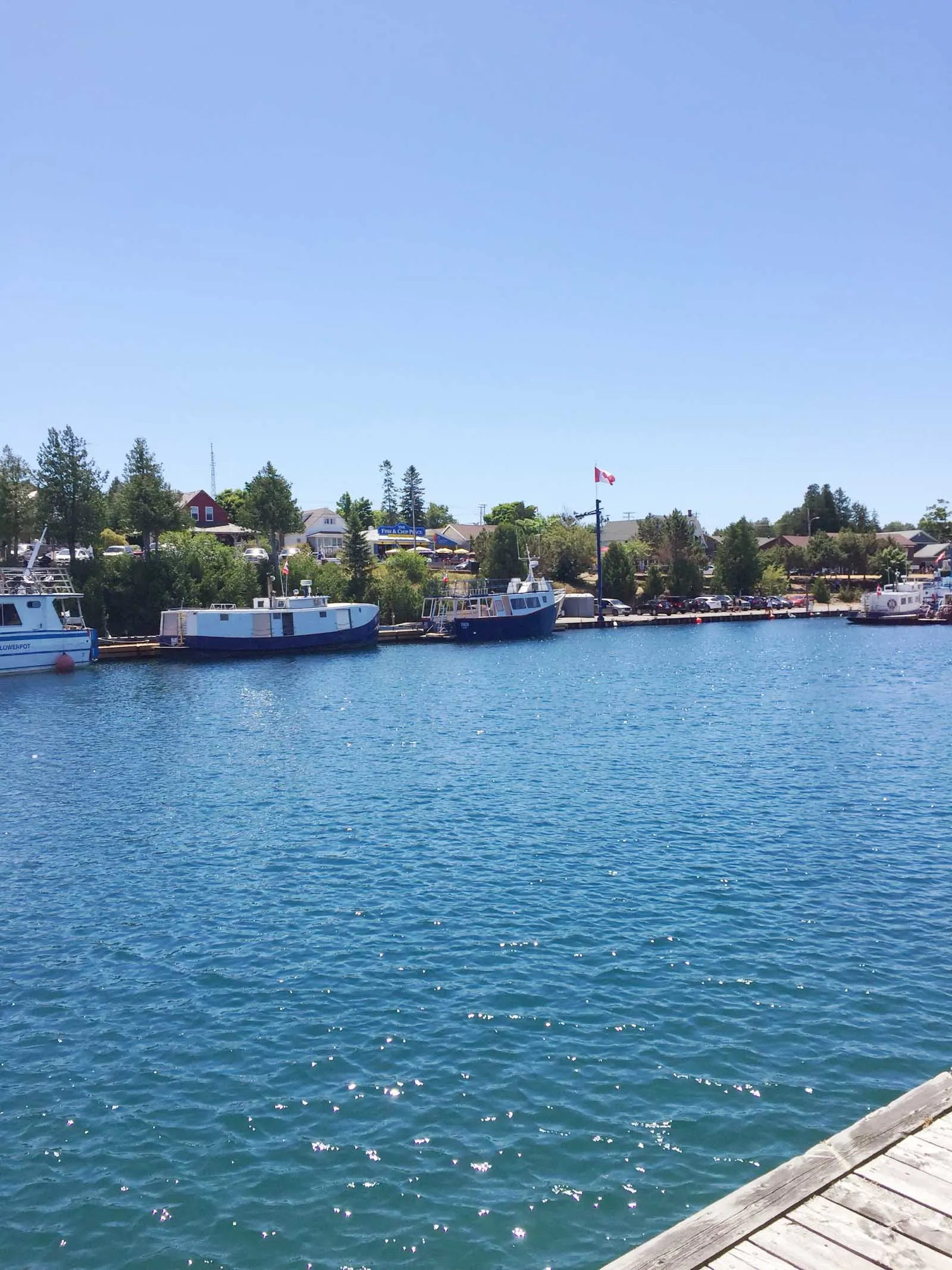 things to do in tobermory