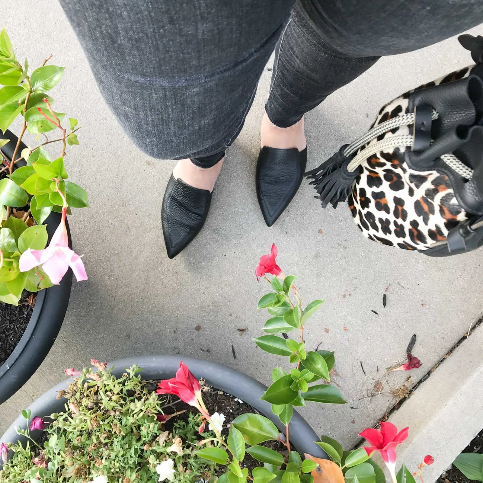 Everlane Boss Mule Review chic everywhere