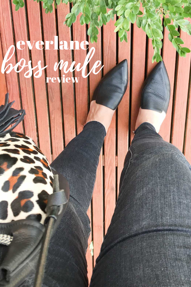 Everlane Boss Mule Review chic everywhere