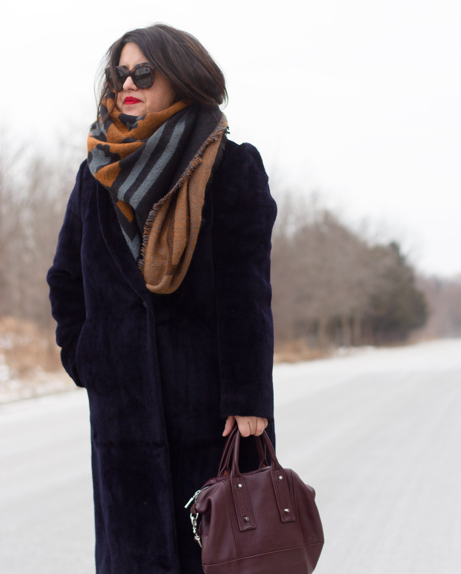 aritzia stedman coat