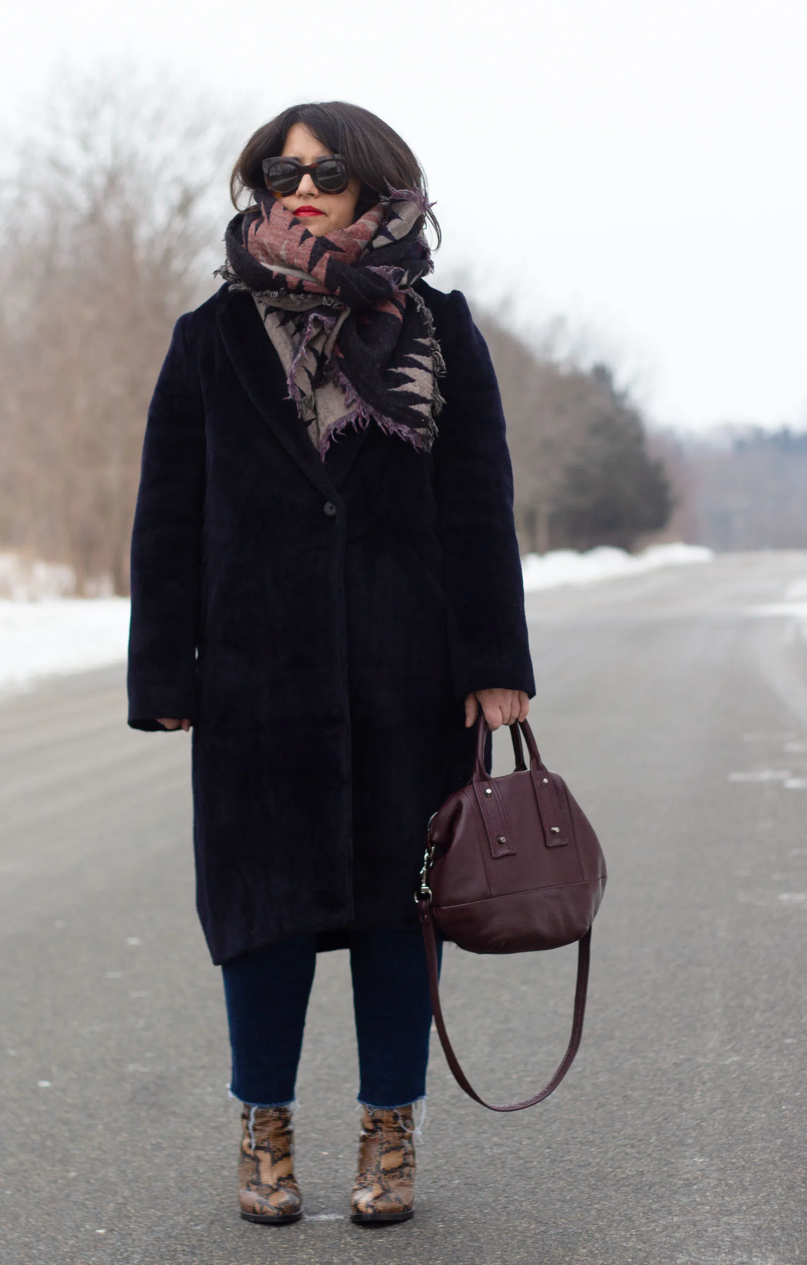 aritzia stedman coat review