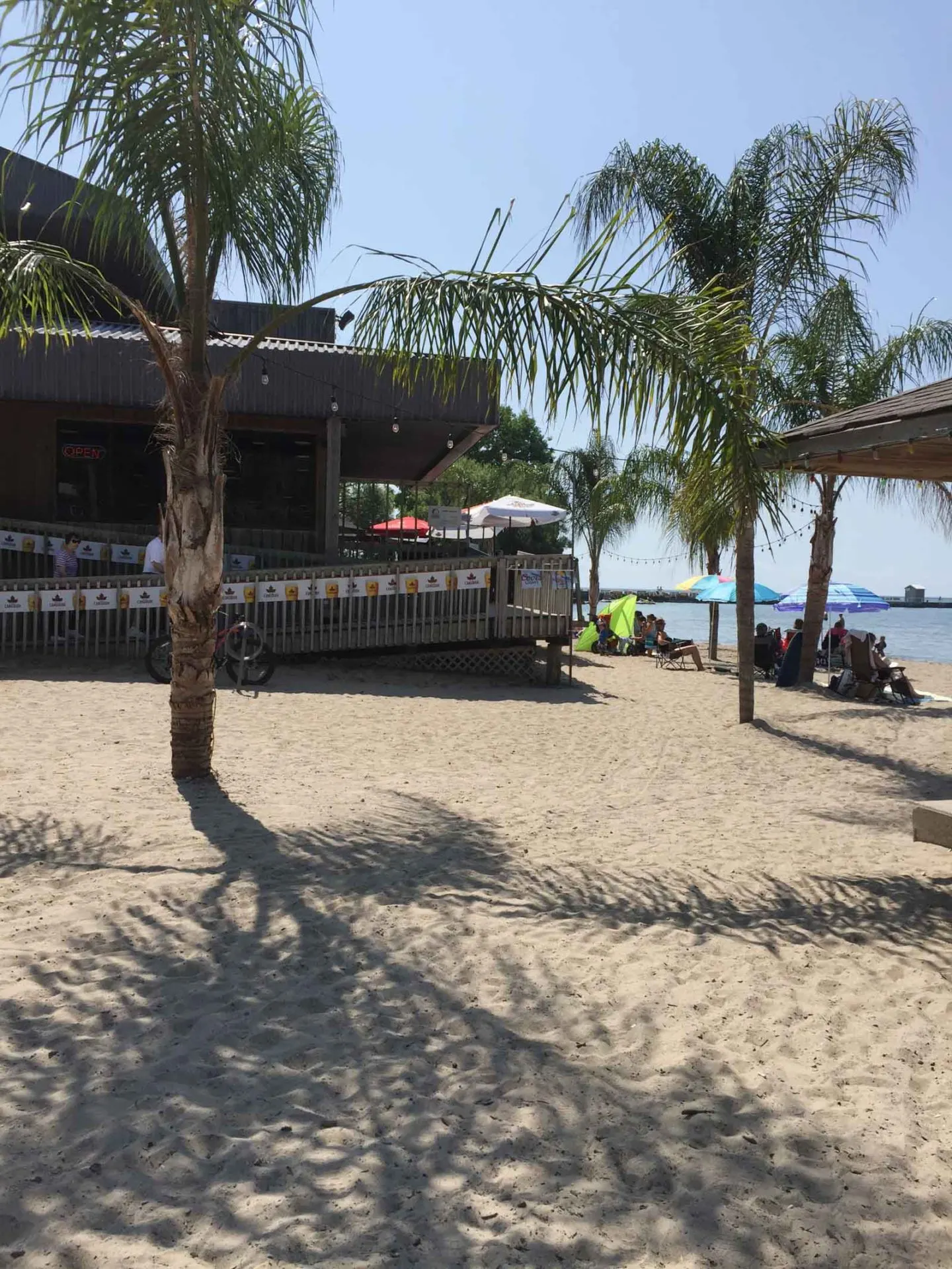 Port Dover Beach Day, Port Dover Ontario Palm Trees