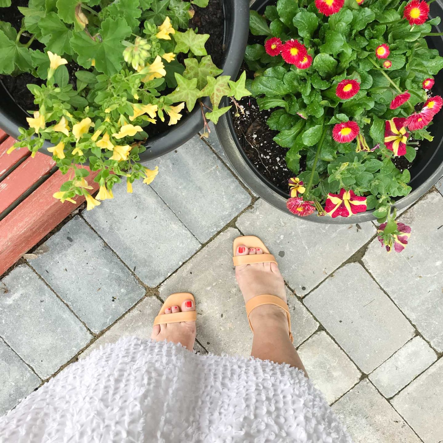 Everlane Double-strap block heel sandal review