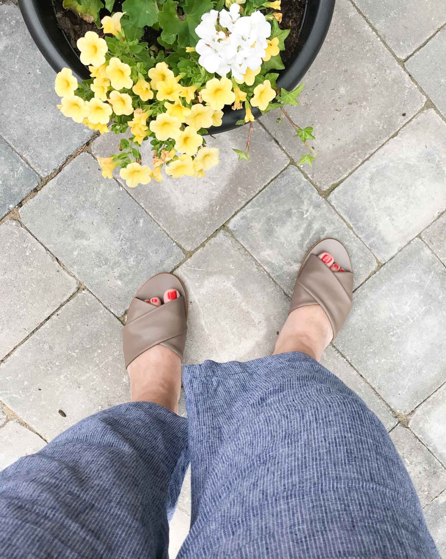 everlane day crossover sandal review