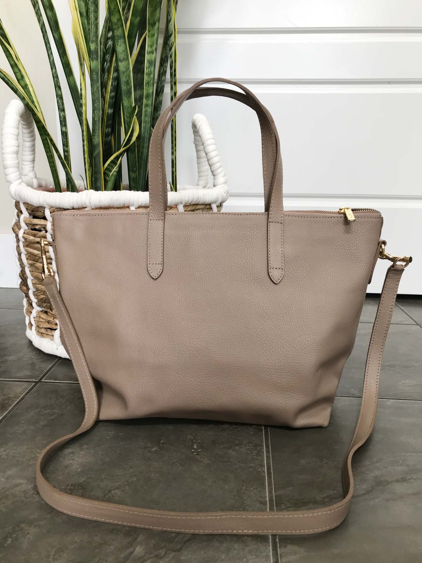 Cuyana Medium Carryall Tote