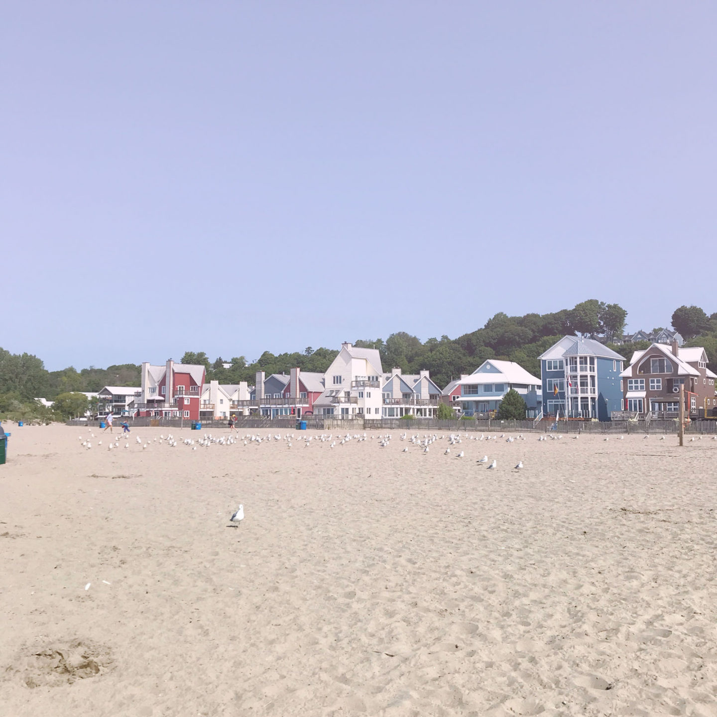 port stanley beach cottages