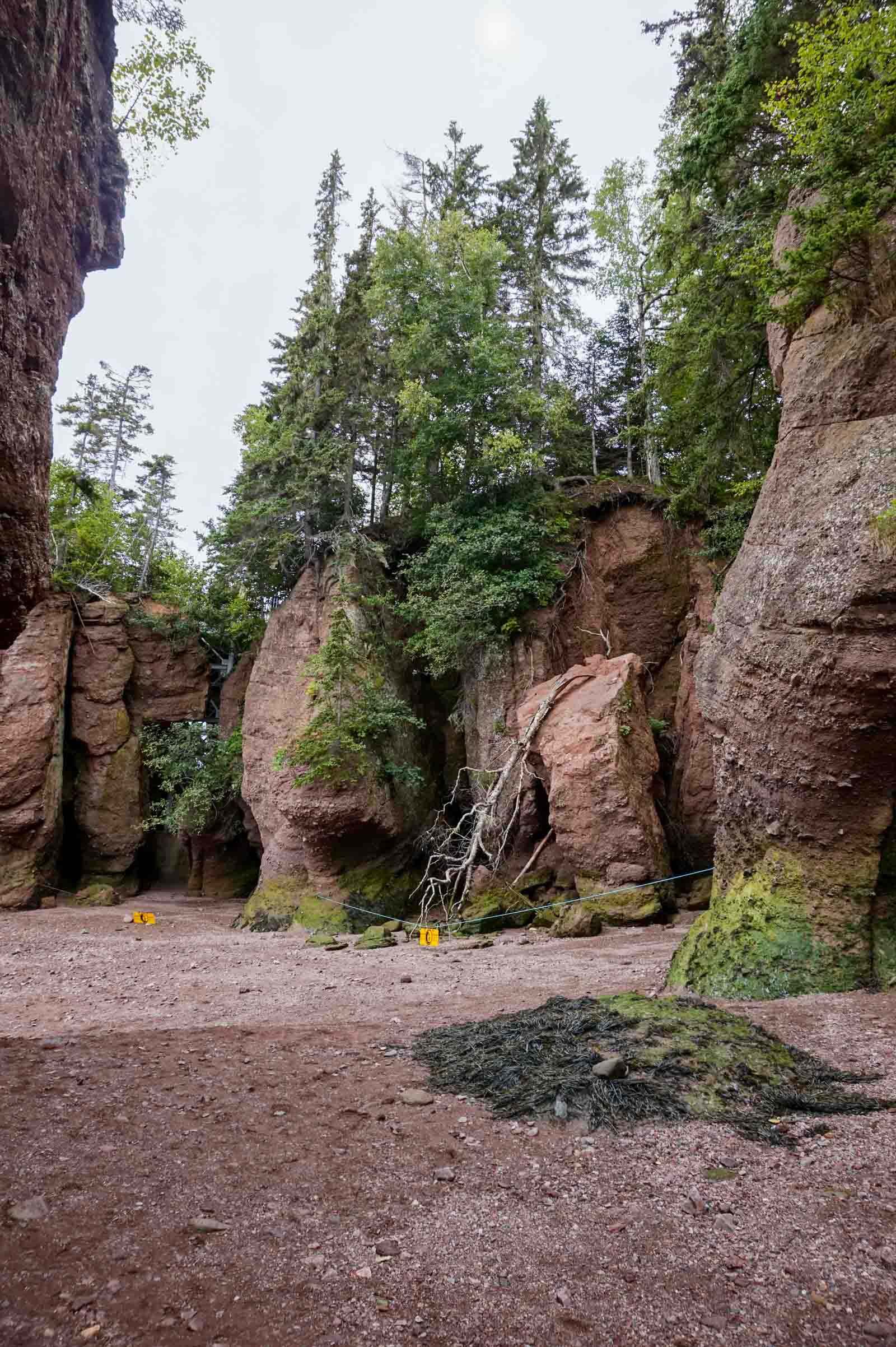 A Day at Hopewell Rocks ⋆ chic everywhere