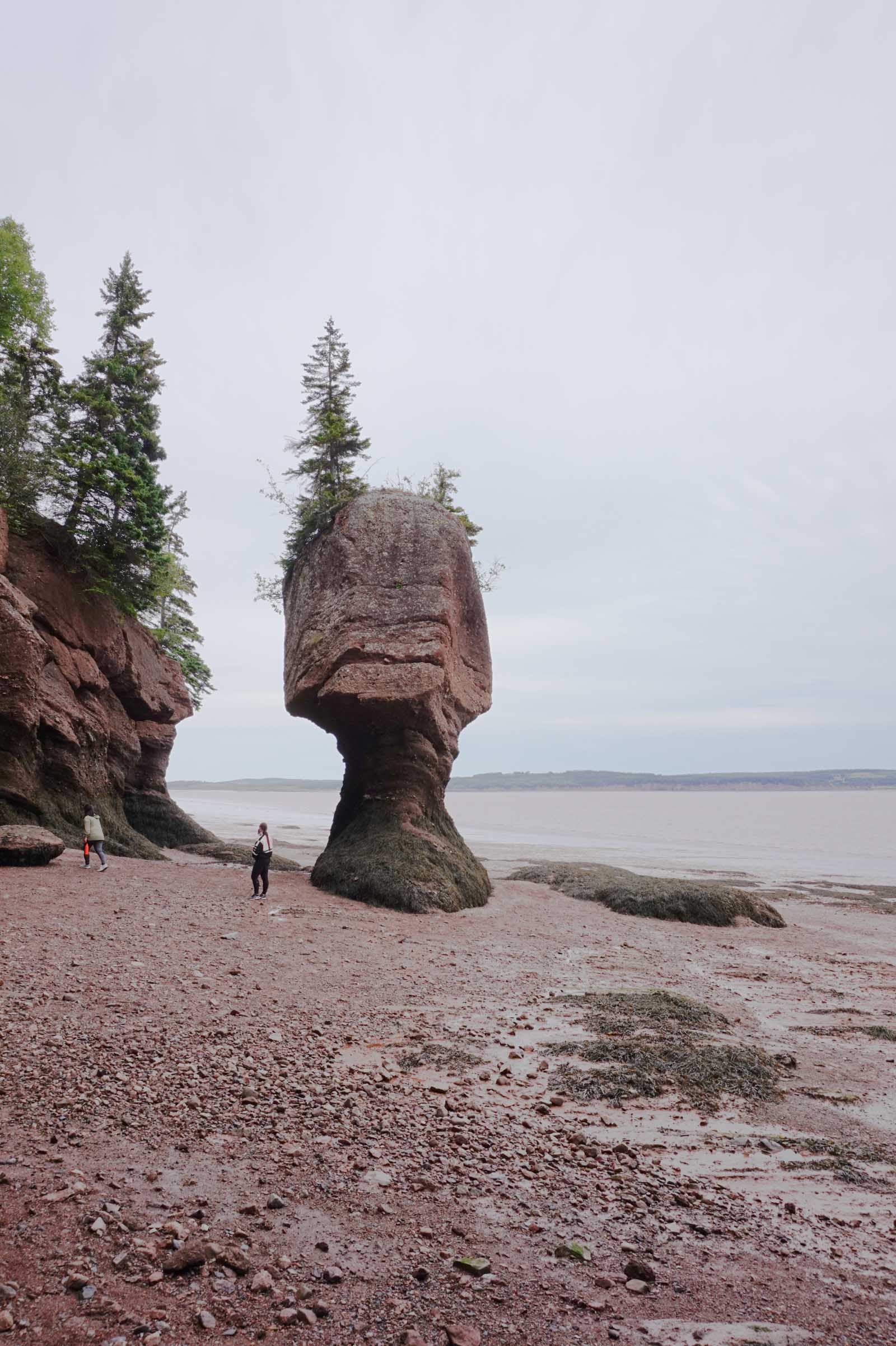 A Day at Hopewell Rocks ⋆ chic everywhere