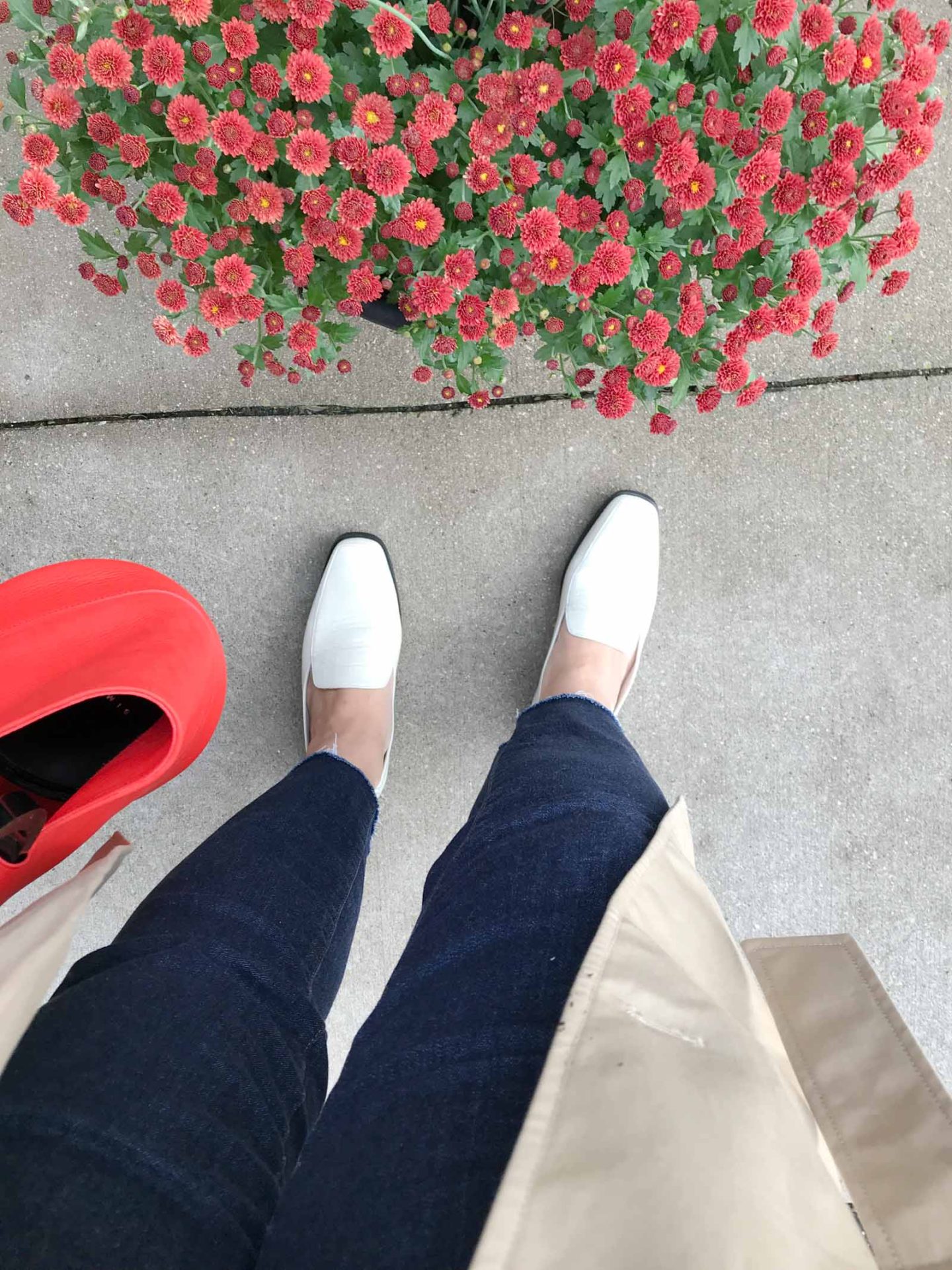 everlane '90s loafer