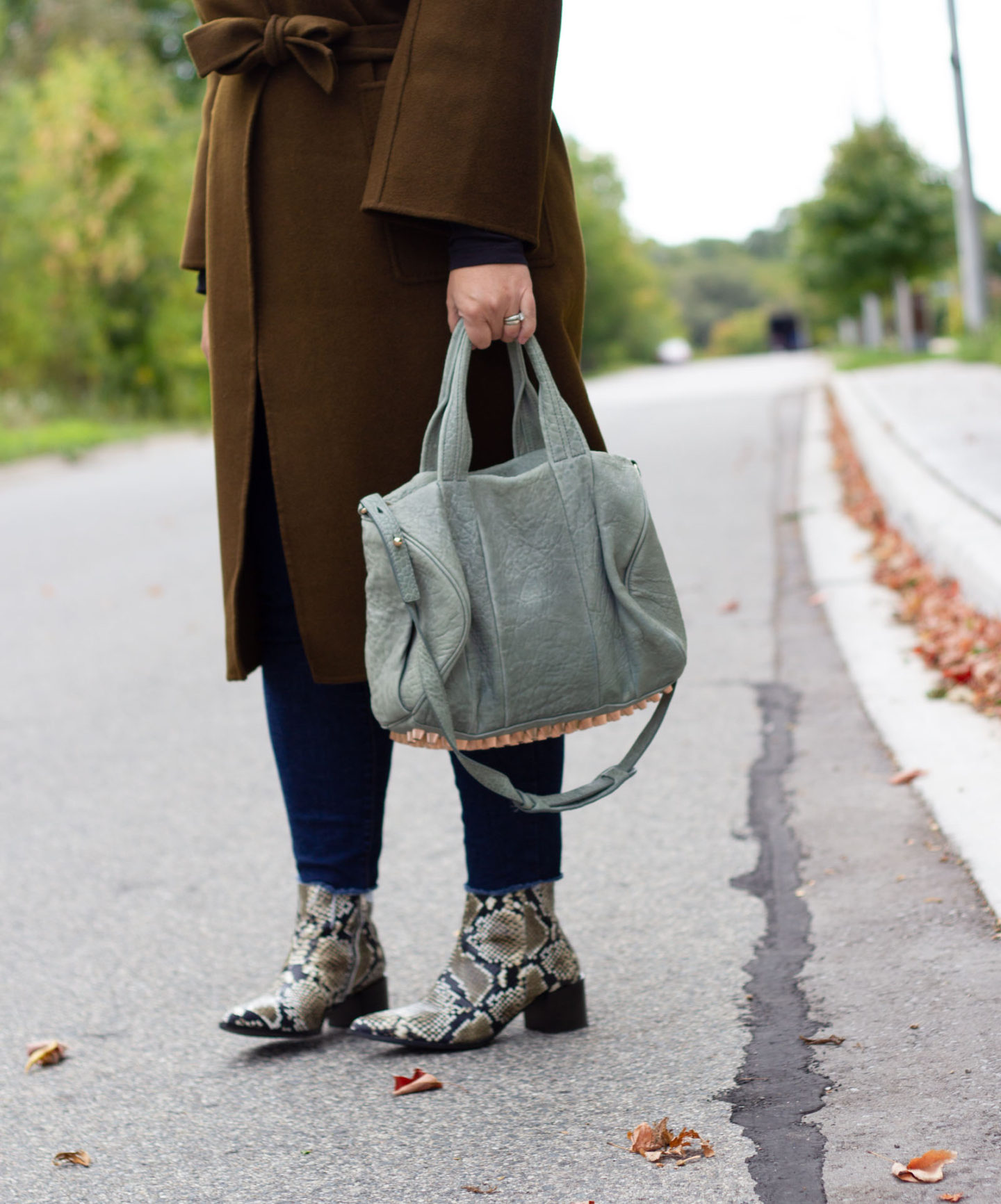 snake boots everlane