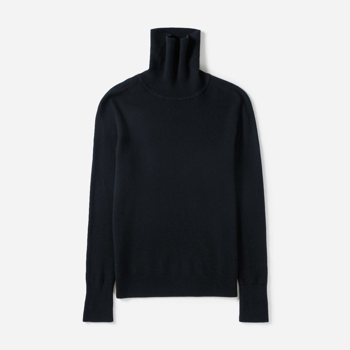 everlane cashmere turtlneck