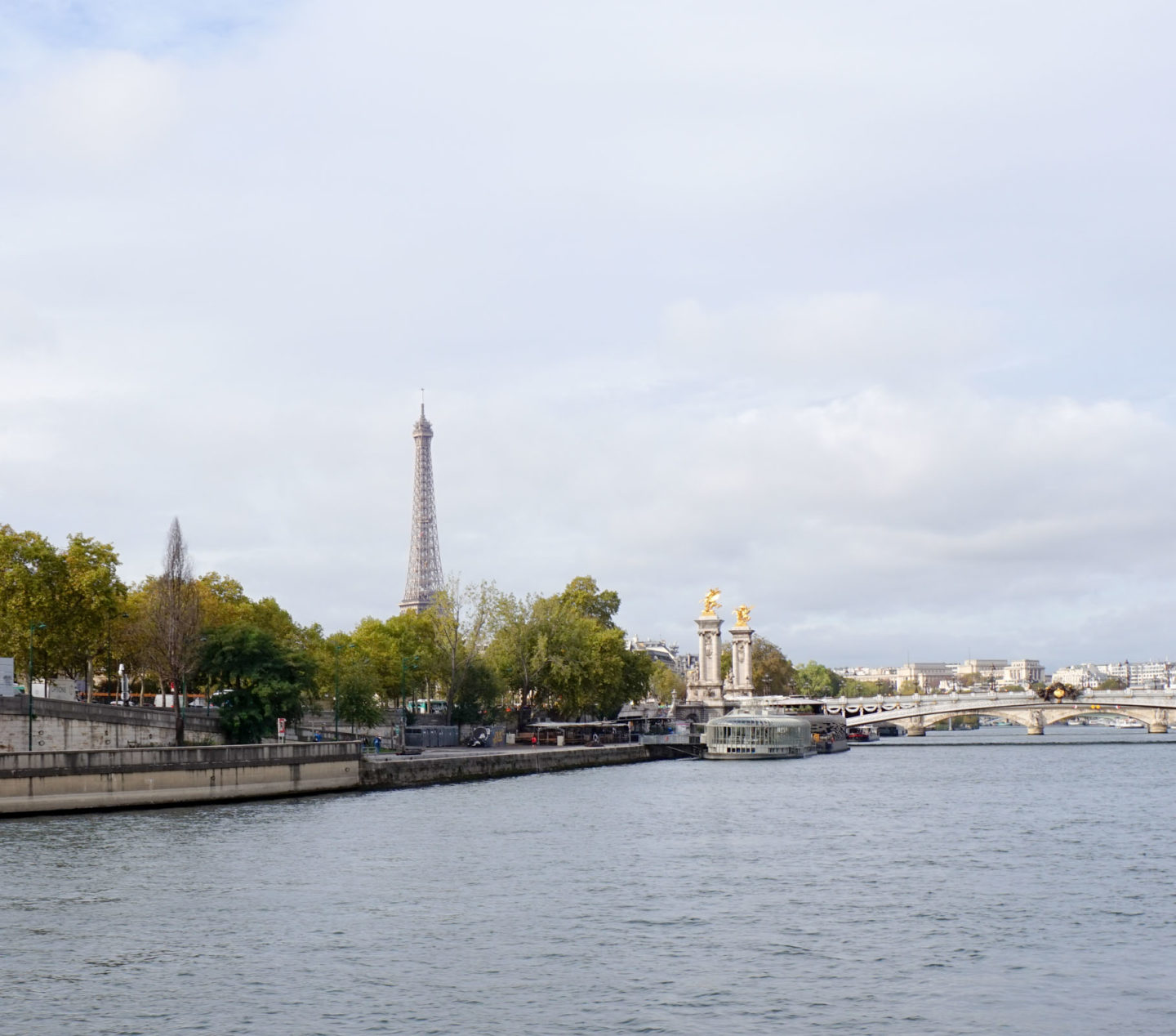 view from the Siene Eiffel tower