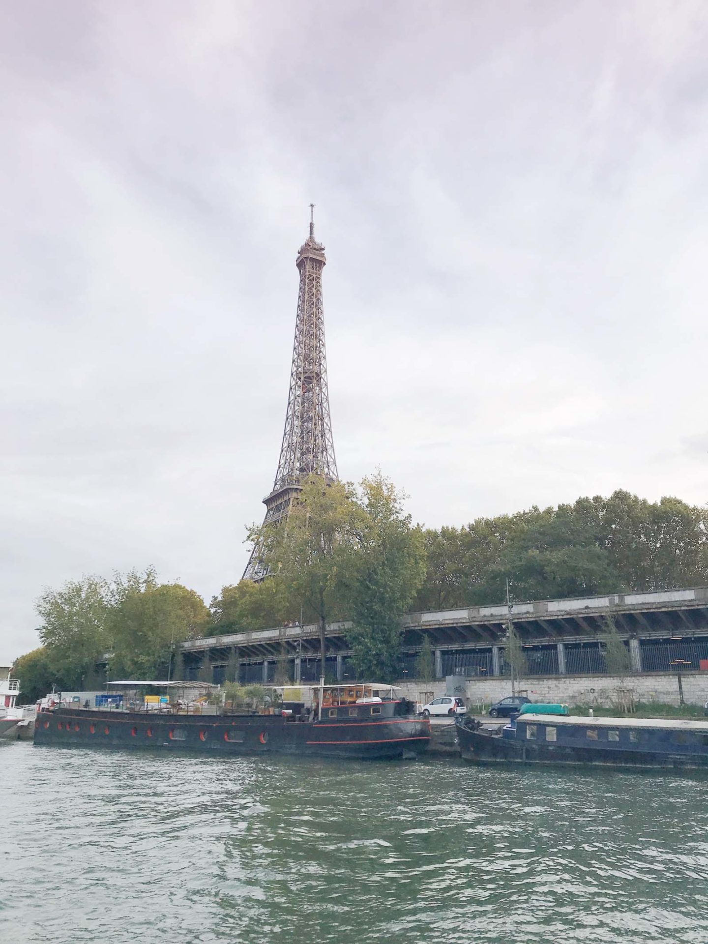 eiffel tower from the banks of the siene