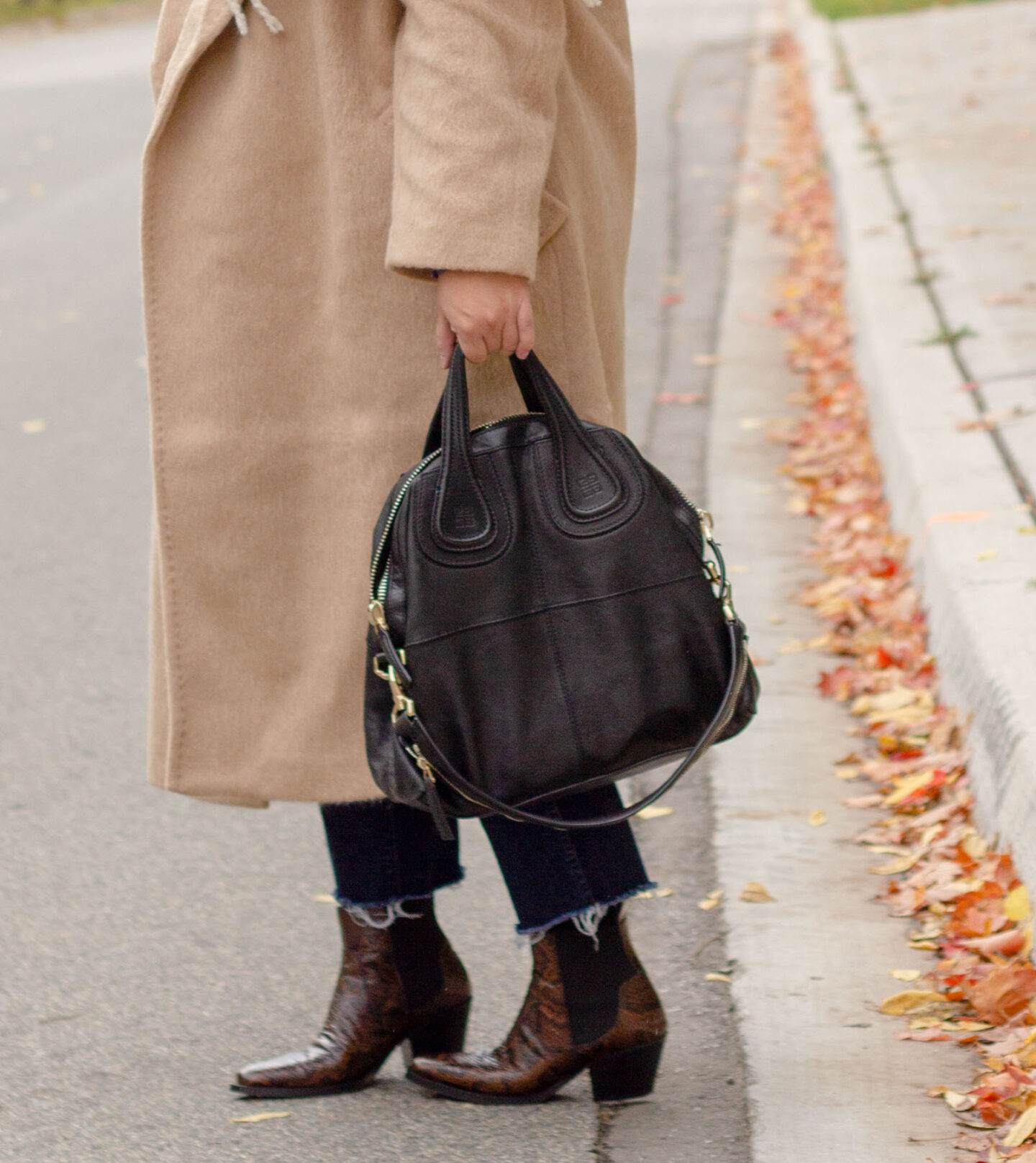 everlane western boot in snake