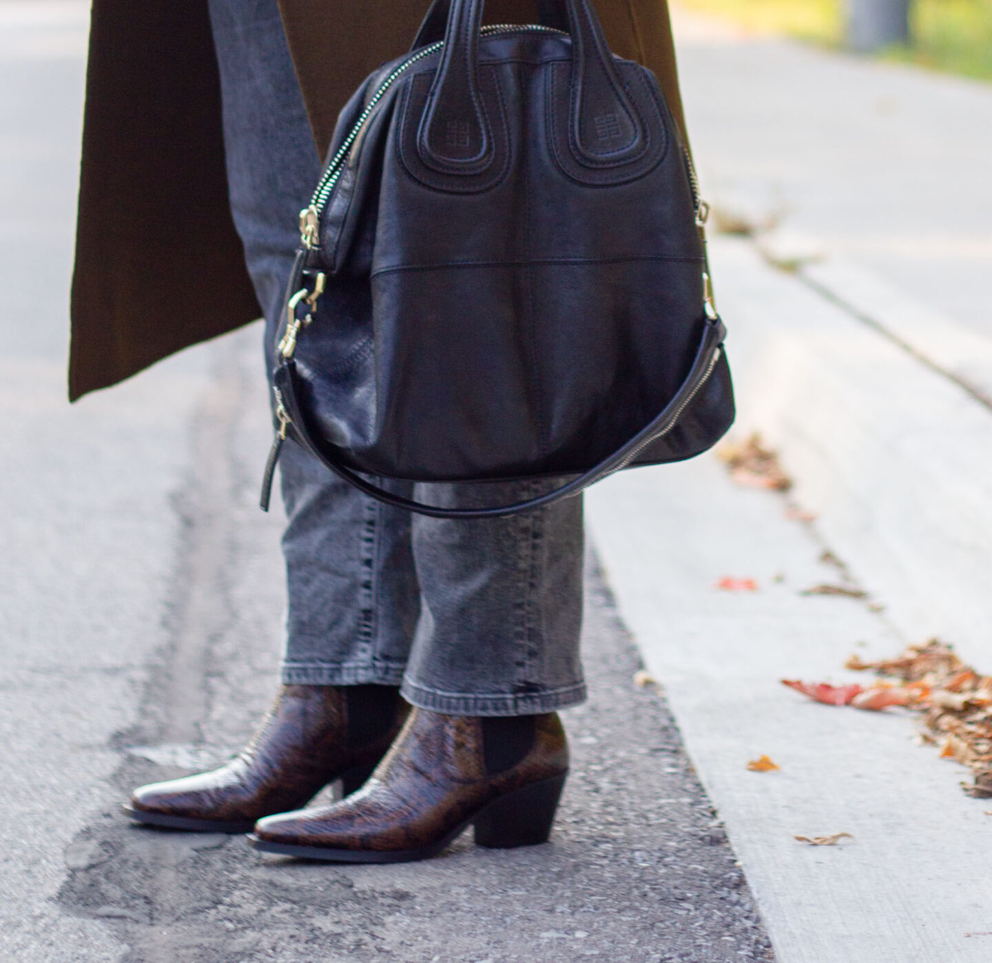 Everlane Western Boot in Snake