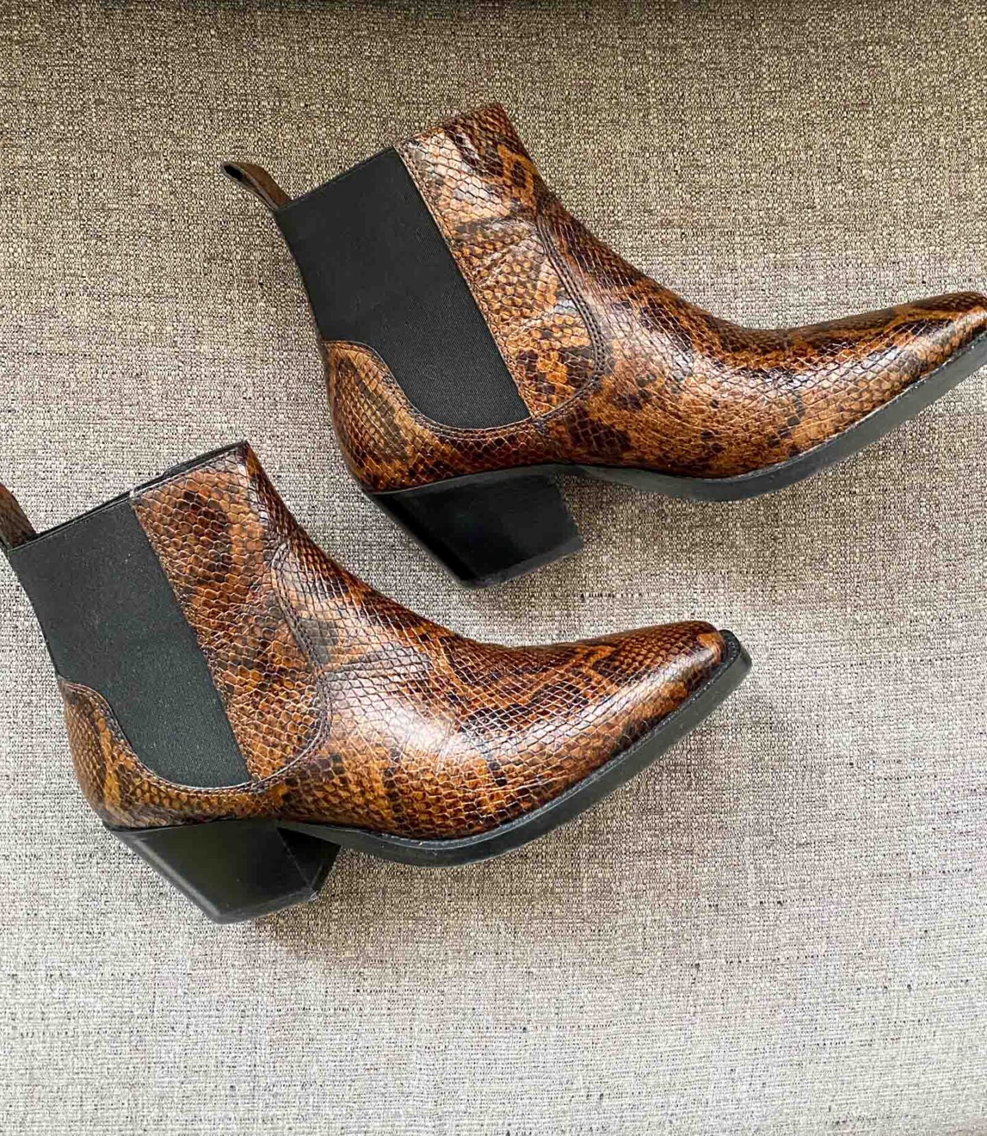 everlane western boot in snake