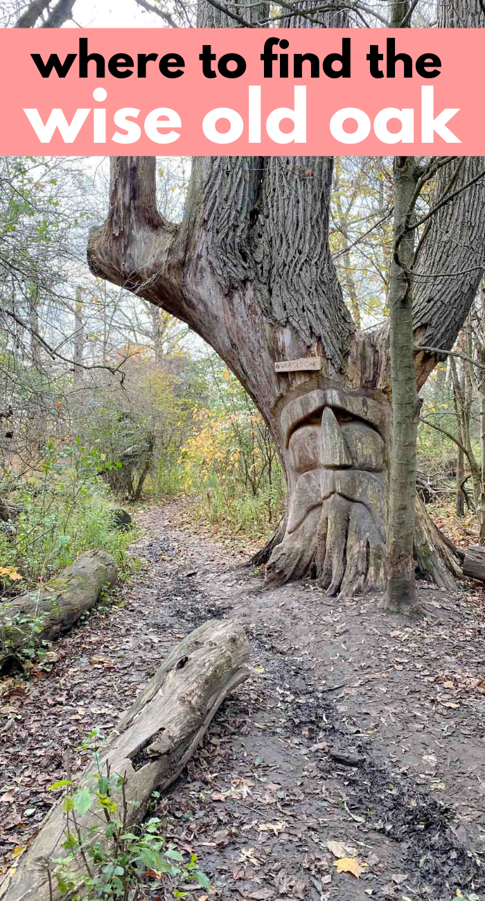 wise old oak health valley trail waterloo region