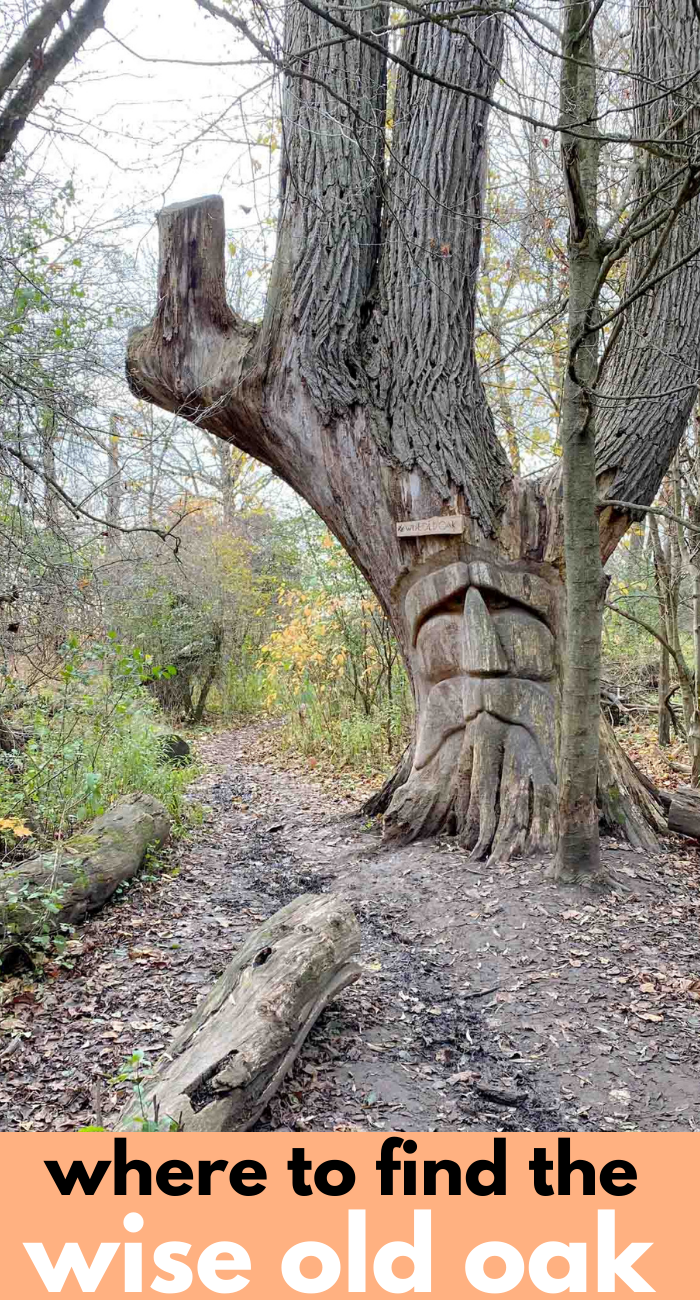 wise old oak health valley trail waterloo region