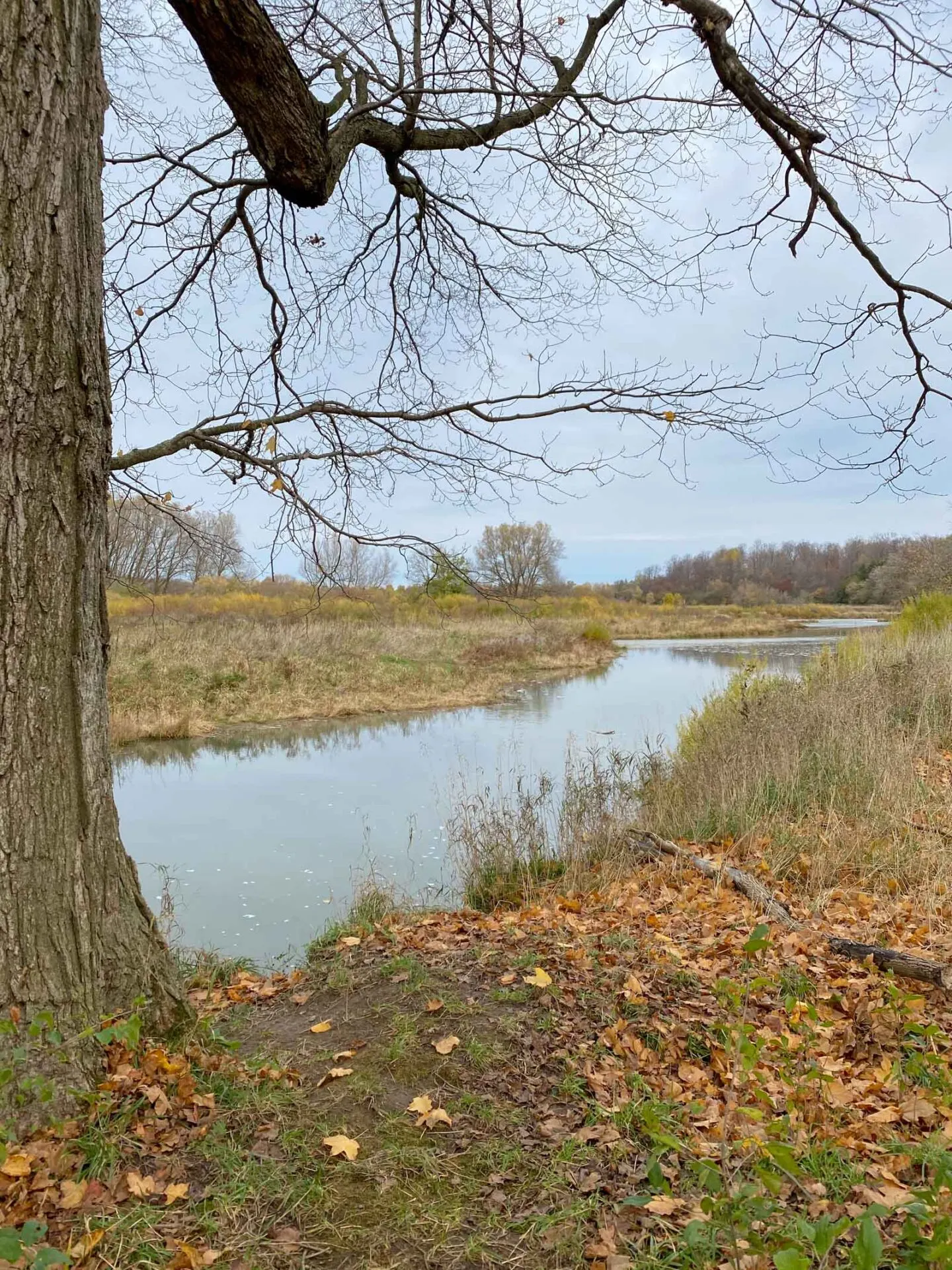 health valley trail conestogo river woolich township waterloo region