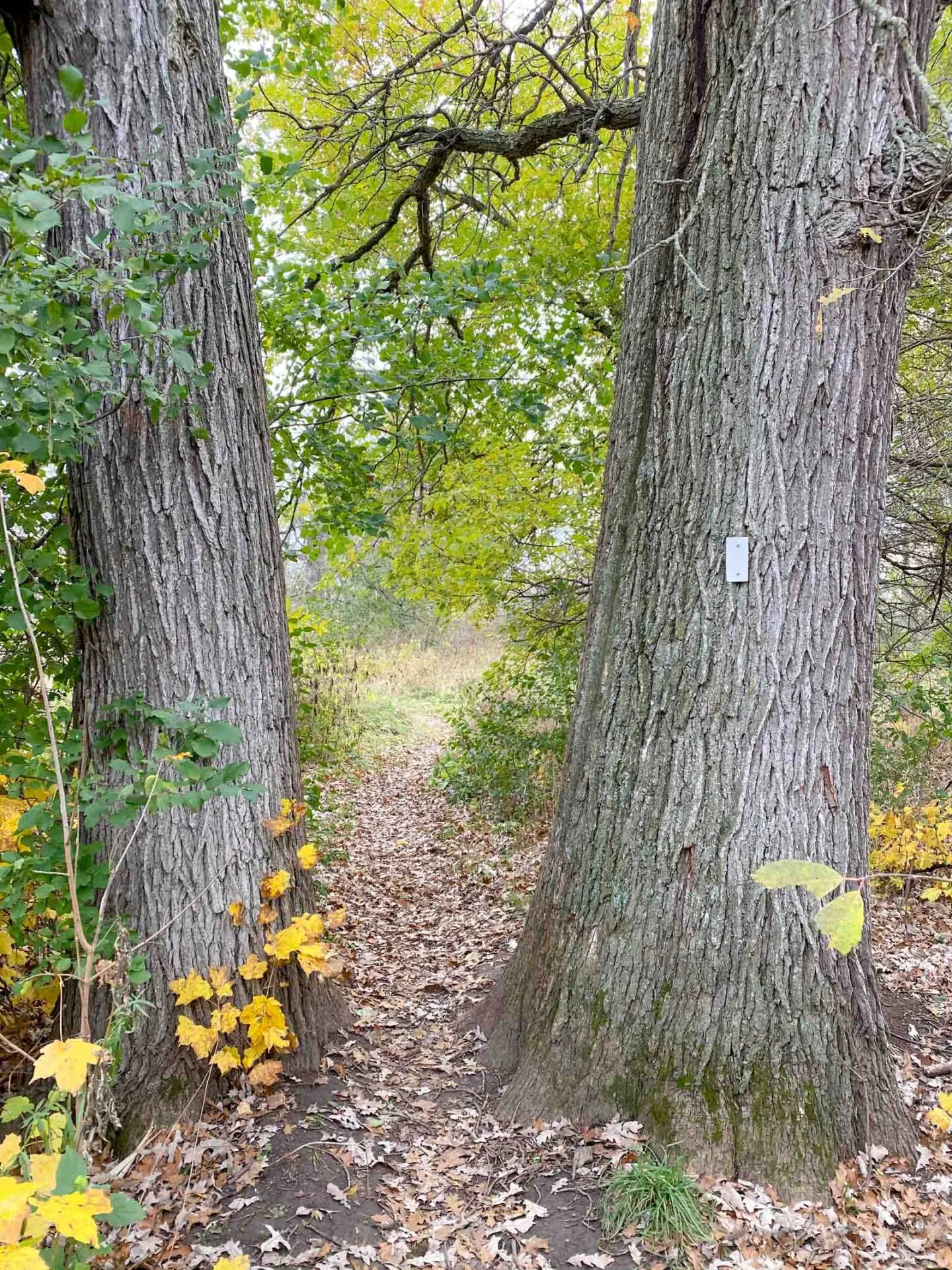 health valley trail waterloo region ontario