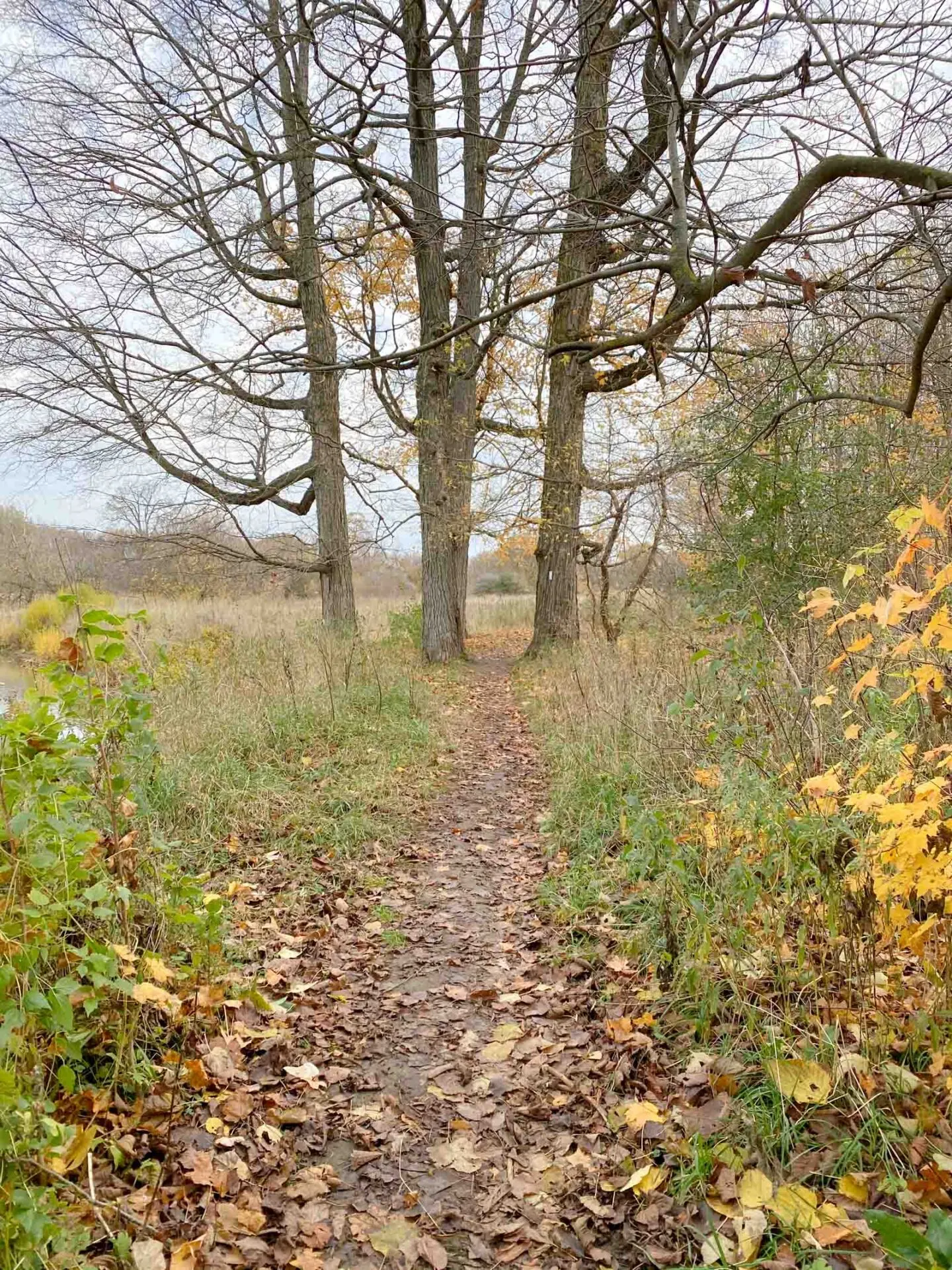 health valley trail waterloo region