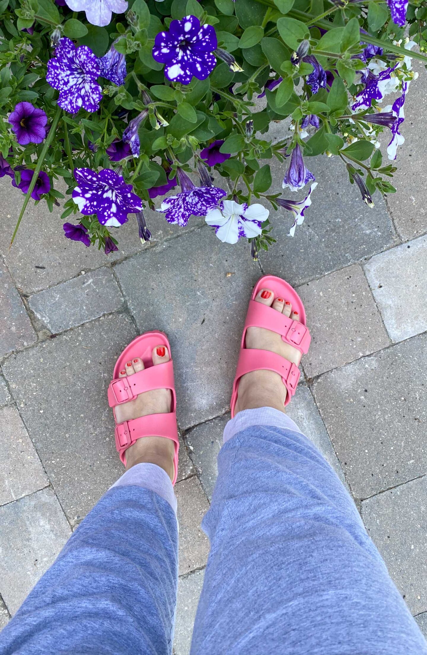 Birkenstock EVA watermelon