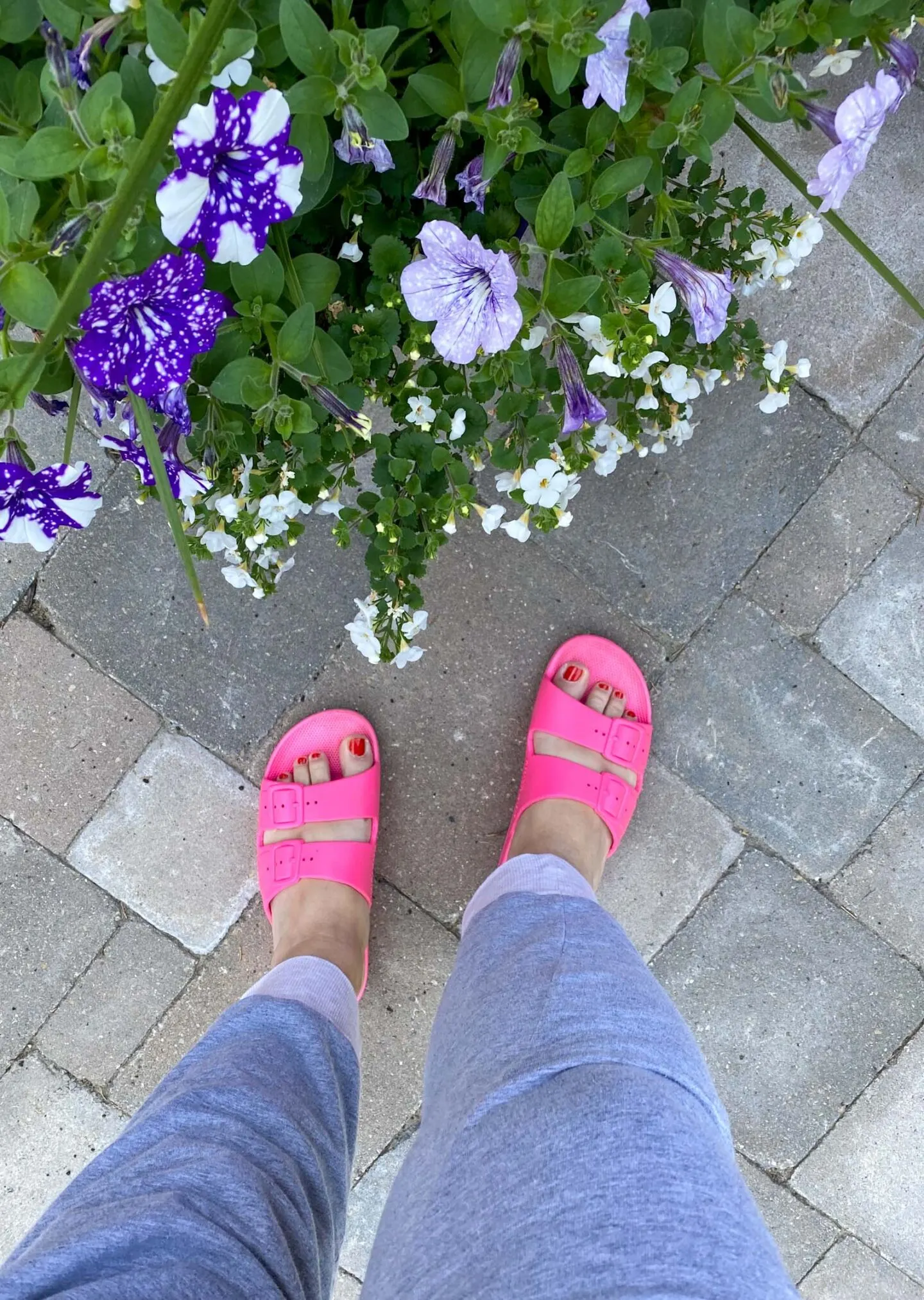 Freedom Moses Sandals vs Birkenstock eva