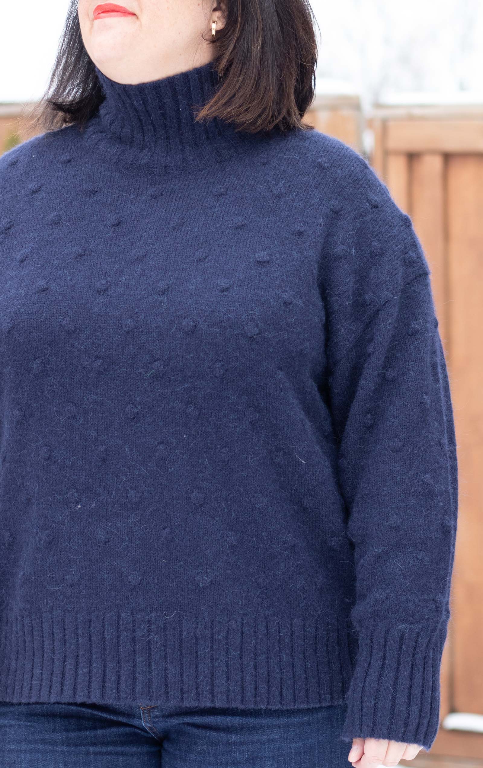 Everlane alpaca turtleneck