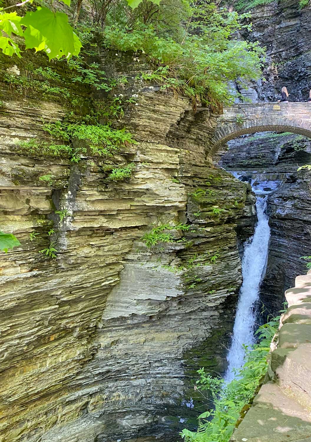 Watkins Glen State Park Gorge Trail waterfalls