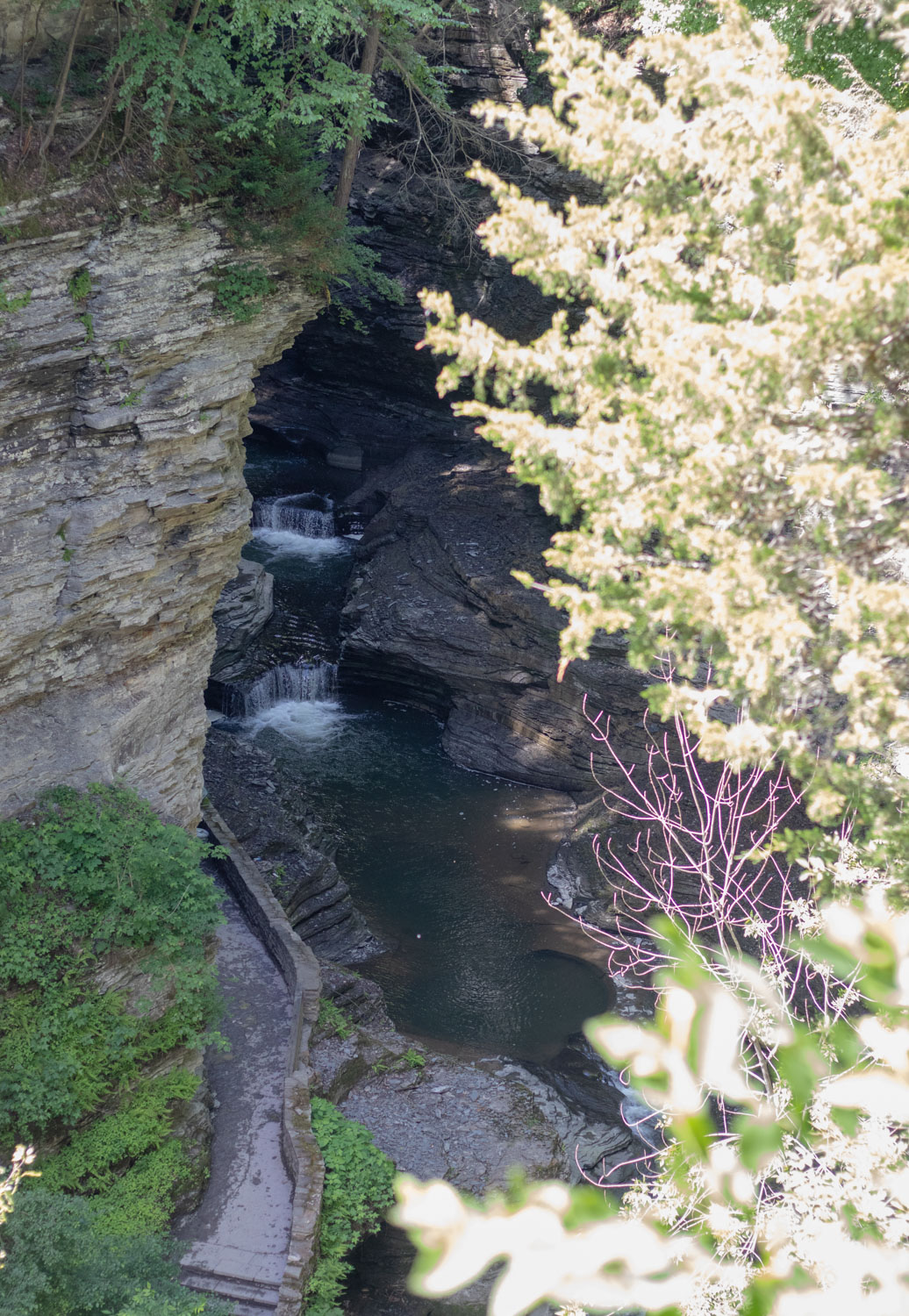 Things to see Watkins Glen State Park