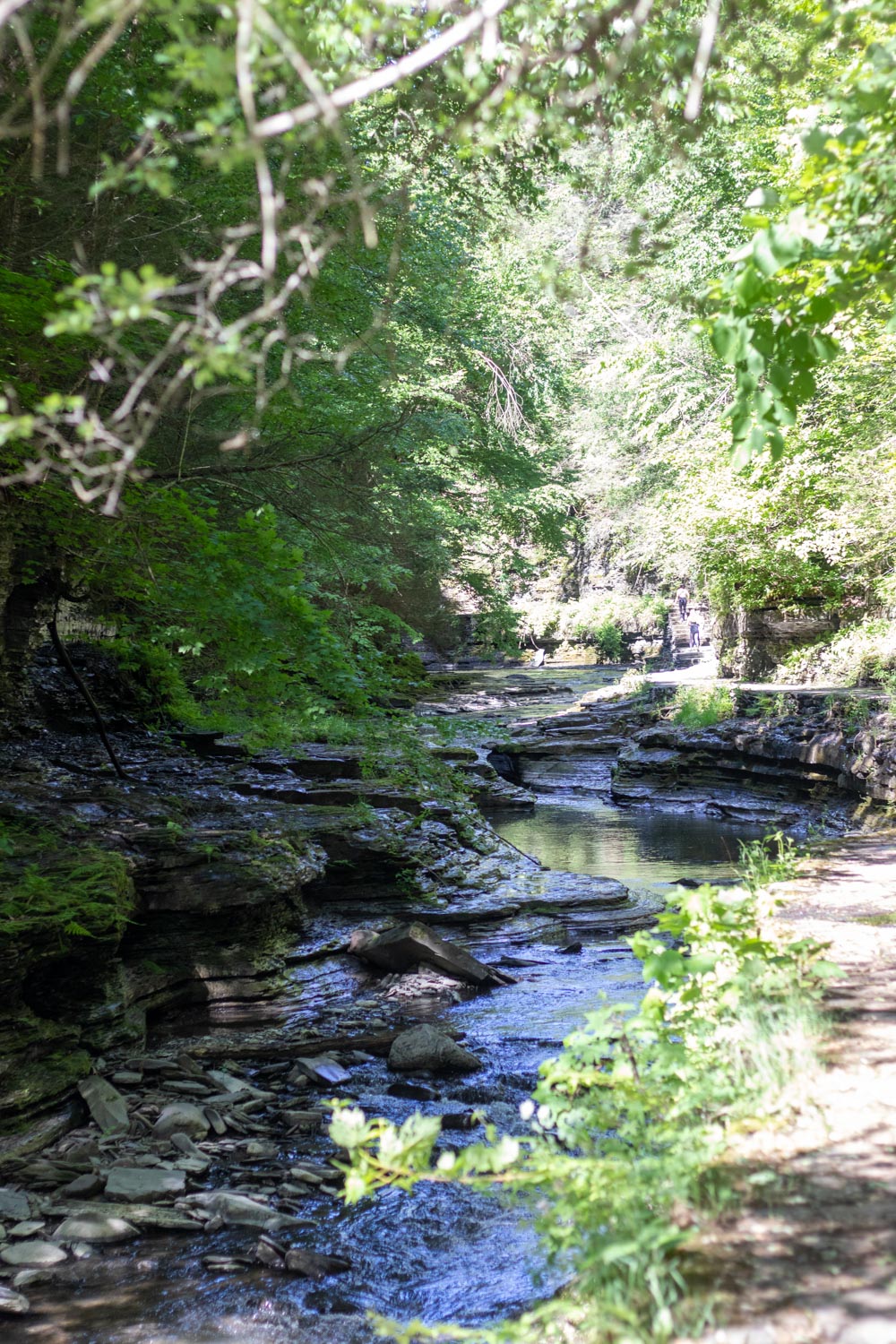 watkins glen state park NY