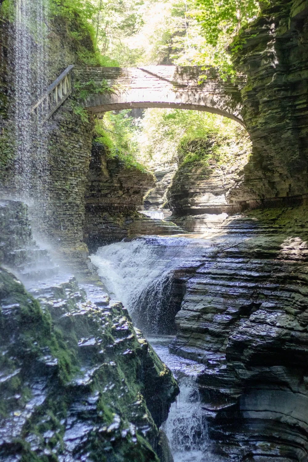 watkins glen state park NY