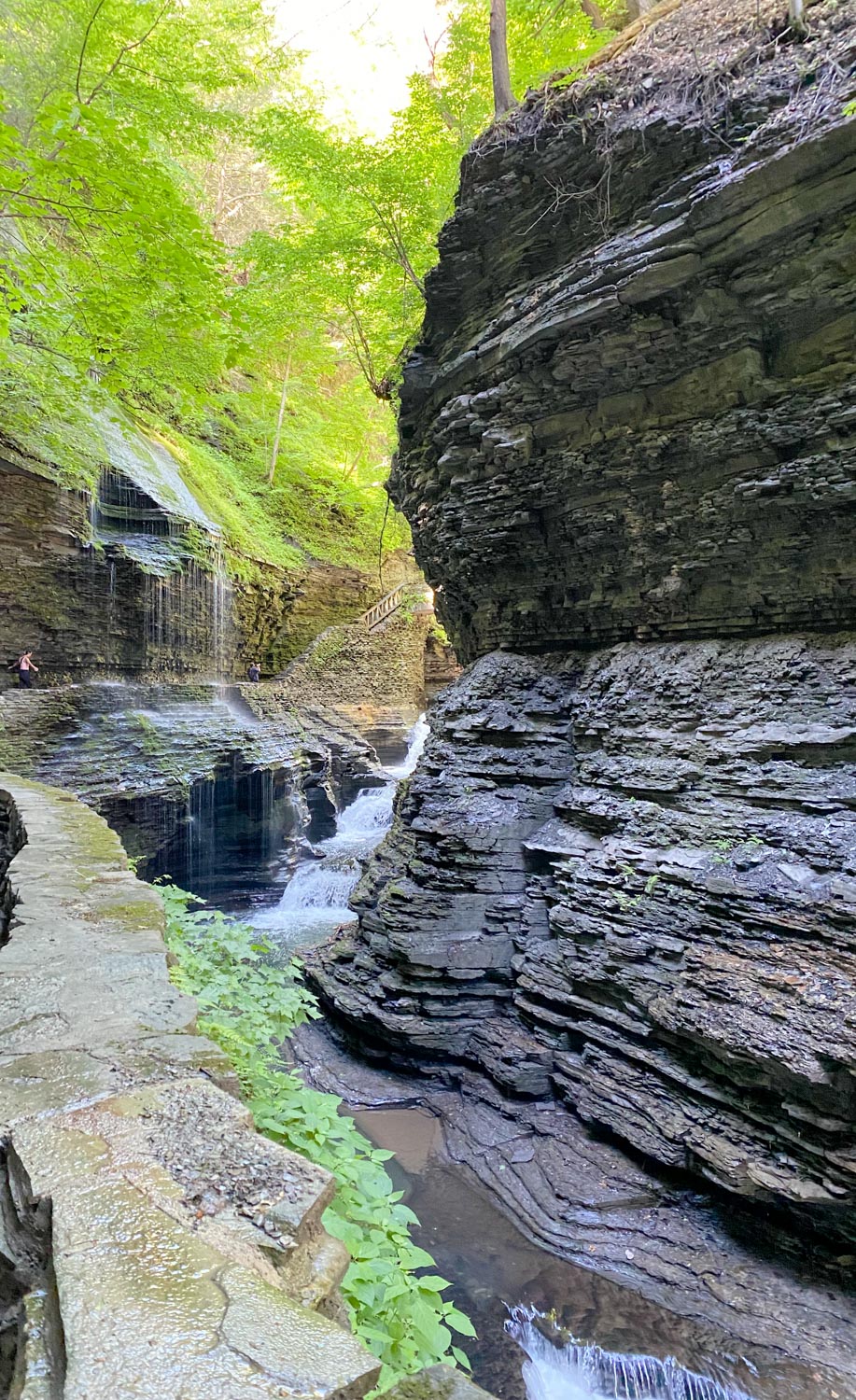 things to do at watkins glen state park