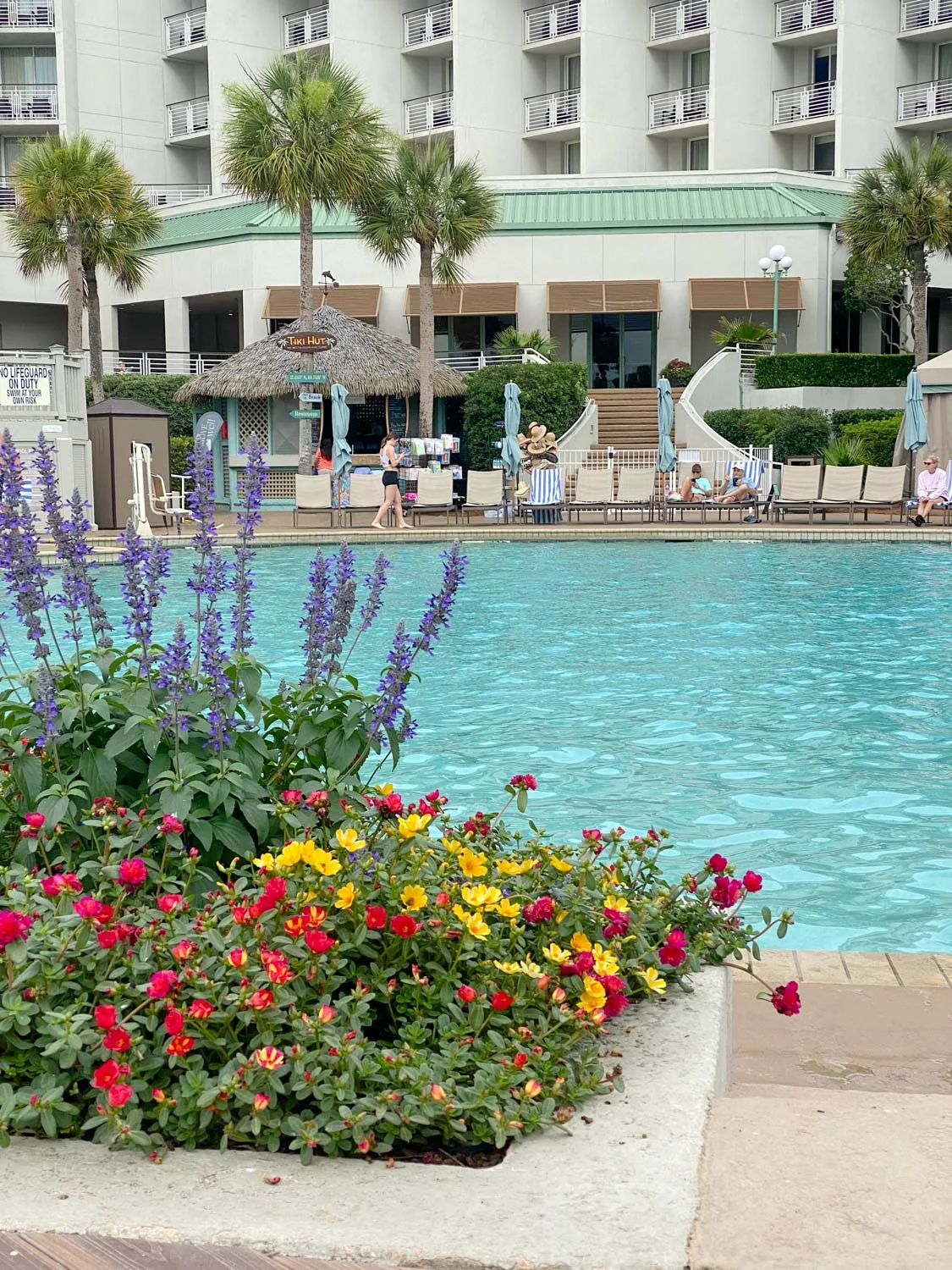 westin hilton head pool