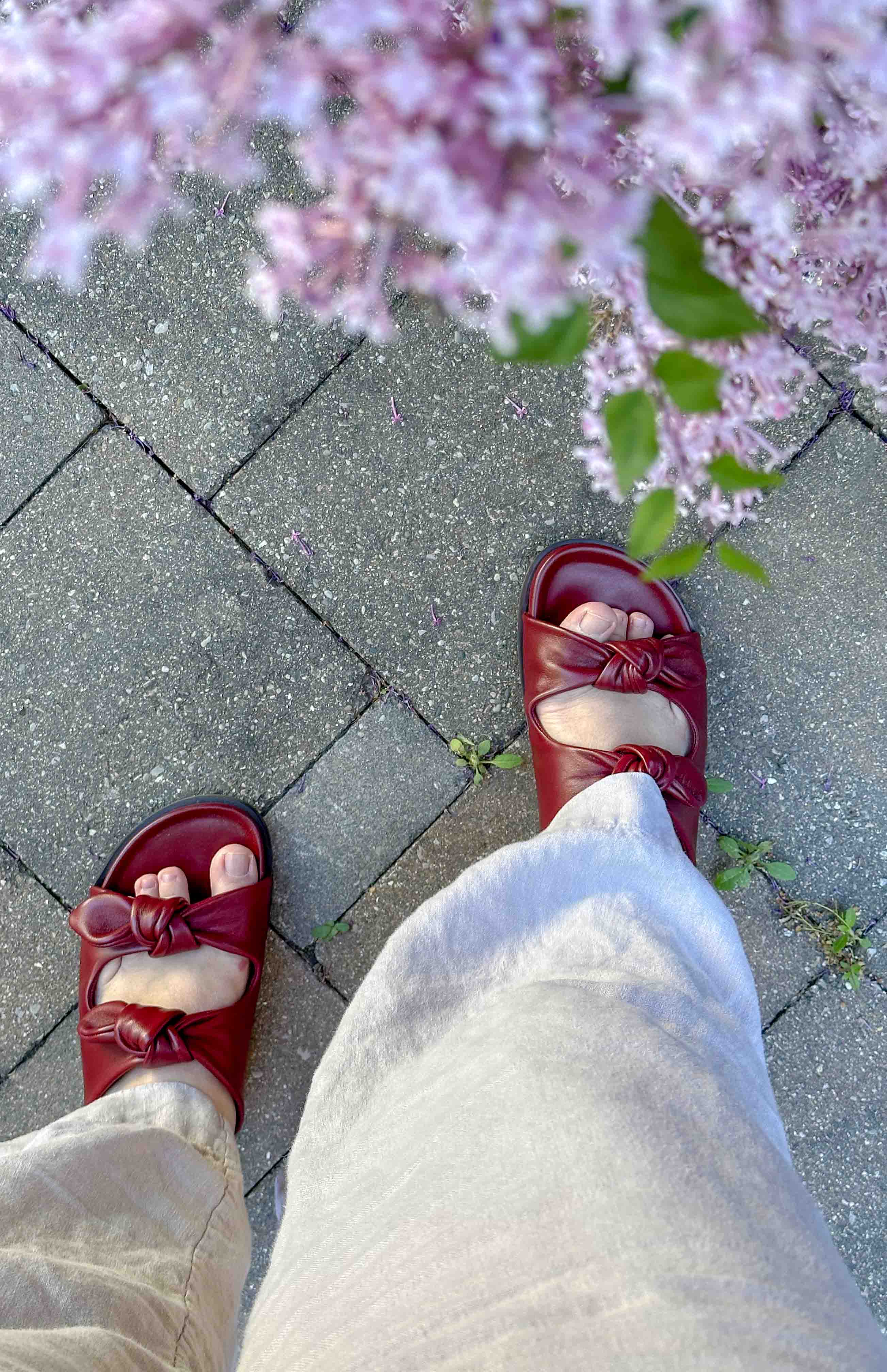 sezane cleo low mules sandals