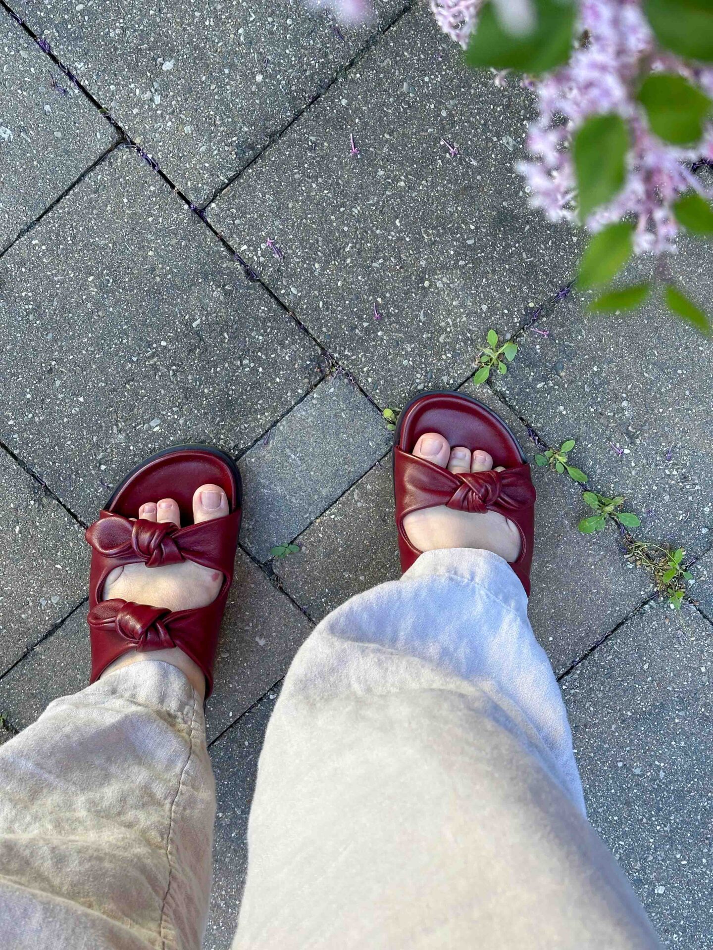 sezane cleo low mules sandals