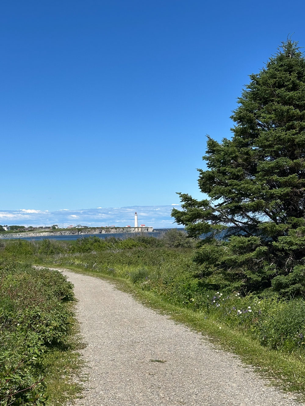 hiking forillon national park